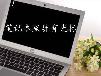 笔记本无法开机一直黑屏怎么办