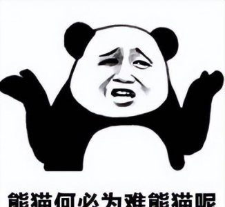 视频剪辑软件哪个好 新手学剪辑视频教程