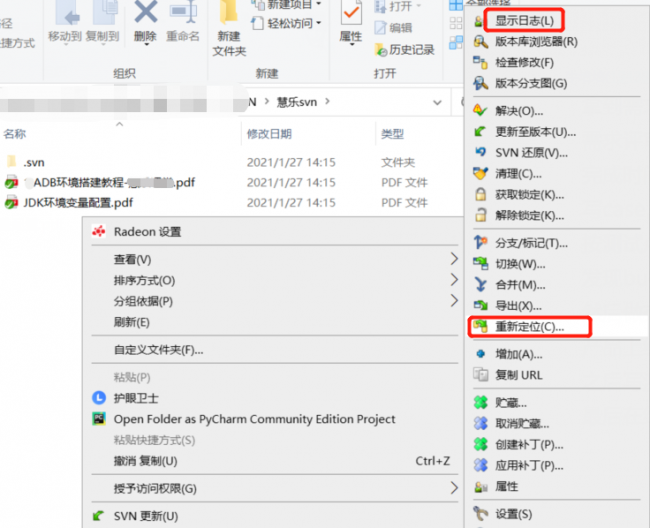 svn的使用的全部流程