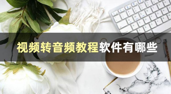 视频转换器哪个好用