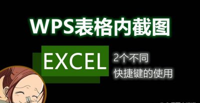 wps快捷键大全表格图 wps表格入门基础教程
