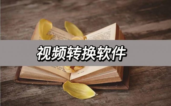 视频转换器哪个好用