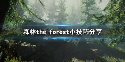 森林秘籍怎么开启 关于森林电脑版作弊码大全