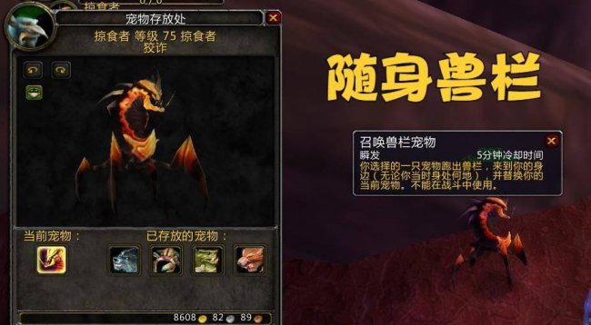 wow猎人必抓五只宠物位置