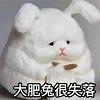 迅捷音频转换器怎么用