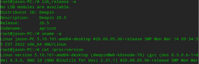 深度linux系统安装教程