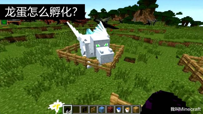 原版我的世界龙蛋怎么孵化