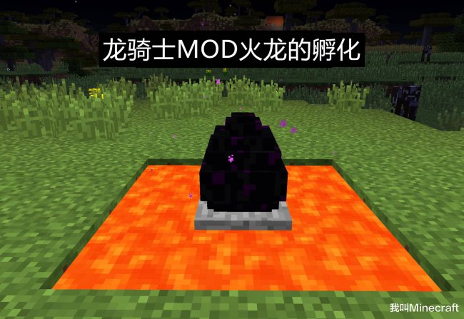 原版我的世界龙蛋怎么孵化