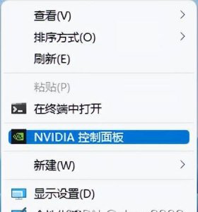 nvidia控制面板怎么打开录屏 关于nvidia控制面板中没有显示设置