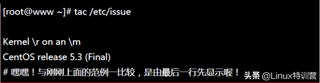 linux系统基本命令的目录
