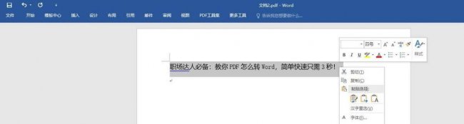 如何将pdf转为word使用