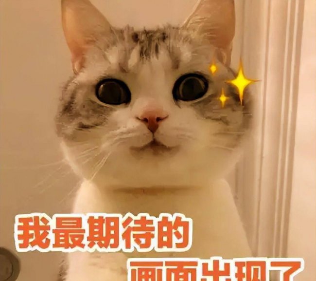 2023年性价比最高的显卡推荐