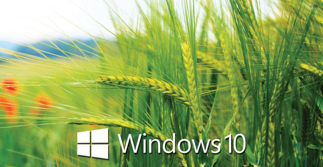 win10开机启动项怎么设置