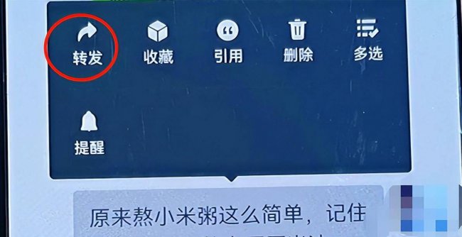 手机怎样粘贴复制的内容