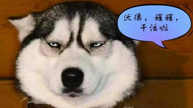 暗黑2十大变态技能是什么