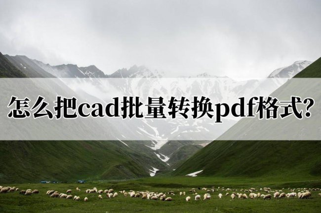迅捷cad转换器怎么使用