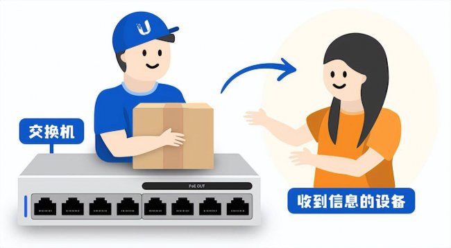 路由器与交换机的主要区别有哪些