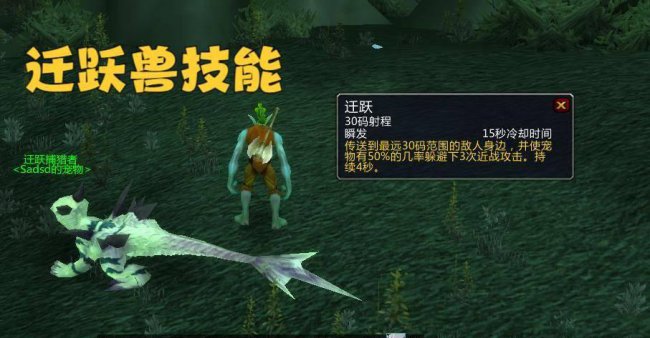 魔兽世界猎人前期宝宝搭配