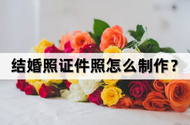结婚证P图软件素材