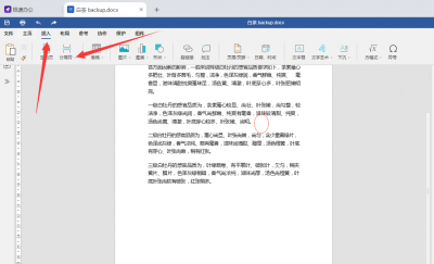 word查看分页符的视图 教你把分页符显示出来