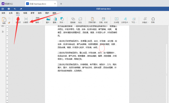 word查看分页符的视图