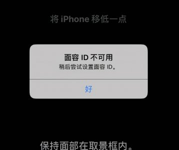 苹果手机面容识别不了是什么原因 苹果手机序列号查询方法