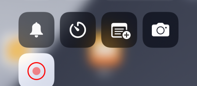 ipad新手使用指南在哪里