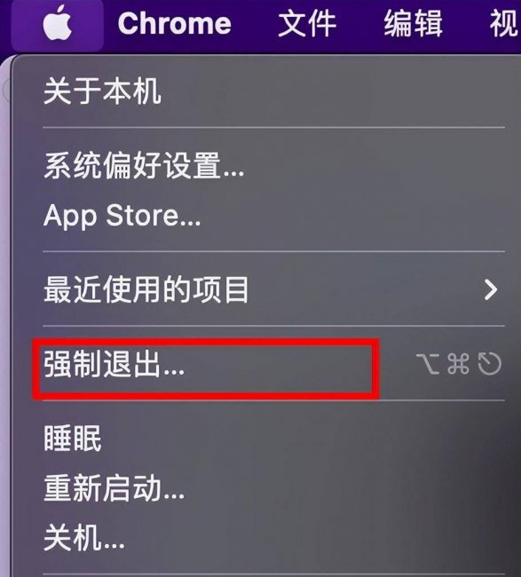 mac怎么强制退出一个应用界面