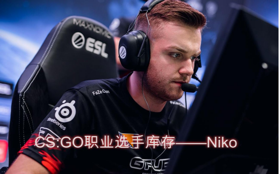 niko准星什么颜色