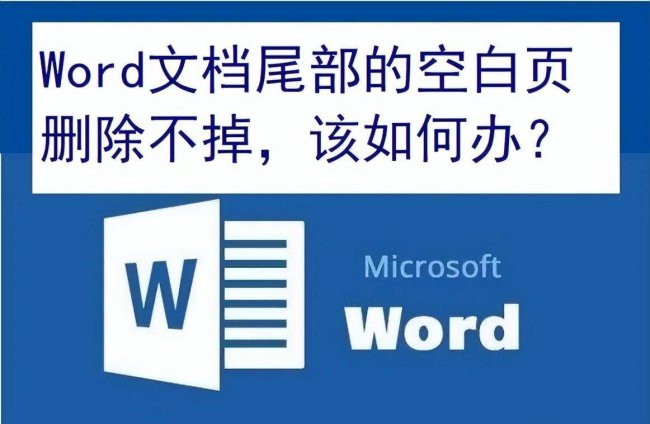 word怎么显示分节符的标记