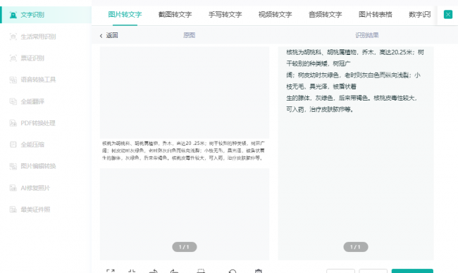电脑图片识别文字怎么弄