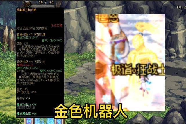 最新dnf宠物大全图鉴