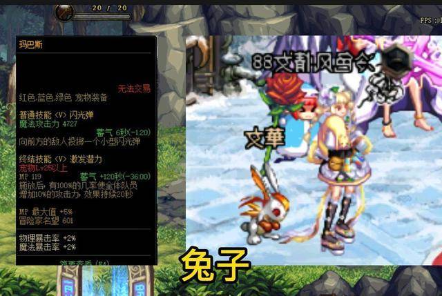 最新dnf宠物大全图鉴