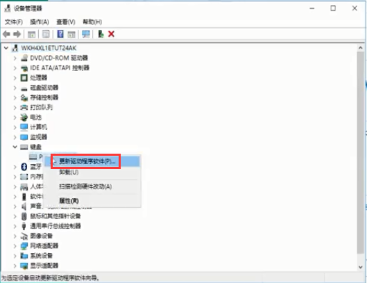 笔记本自带键盘失灵了怎么办