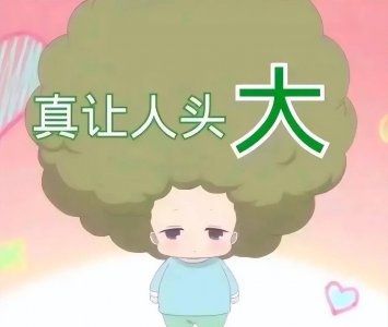 电脑传照片到iphone怎么用 将iphone里的照片导入电脑的技巧
