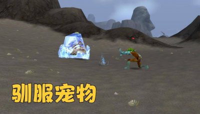 魔兽猎人宠物技能大全 怀旧服宠物技能一览表