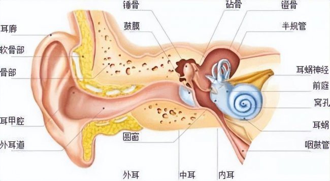 骨传导耳机对大脑危害有哪些
