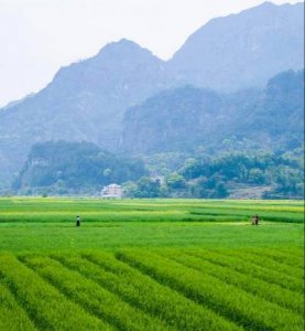 土地面积换算公式大全 讲解土地的计算方法