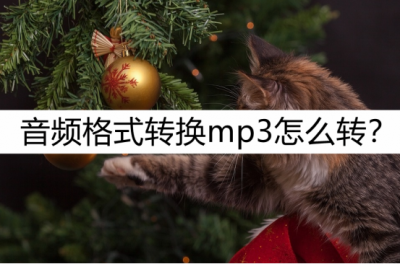 喜马拉雅格式怎么转mp3音频 录音转文字免费的软件推荐