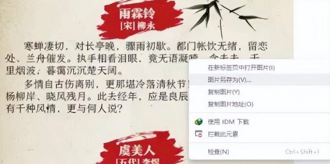webp文件转换为jpg格式