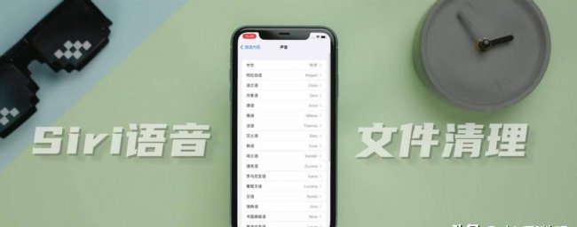iphone文件管理在哪