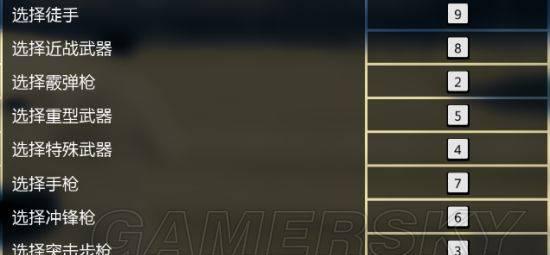 gta5画面设置详解