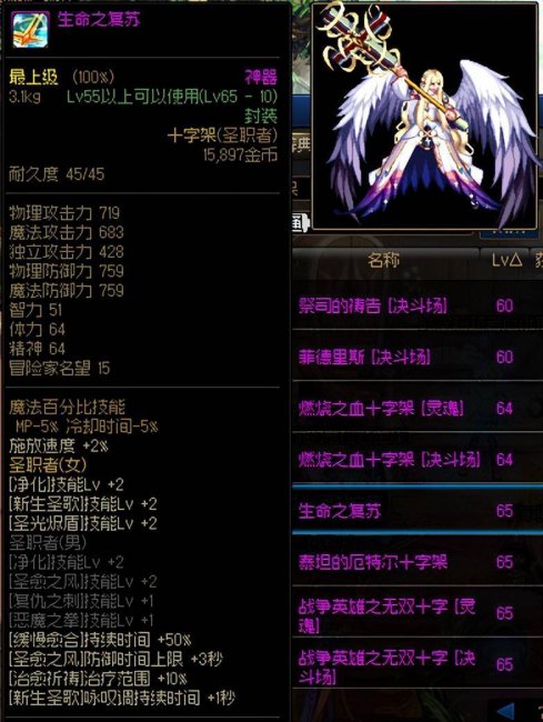 DNF圣职者武器幻化排行