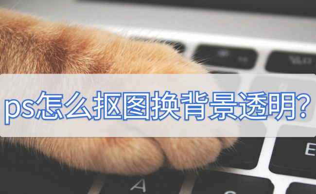 ps如何抠图去白底变透明底mac
