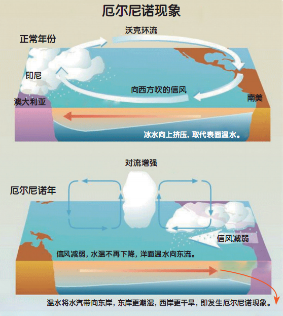 蝴蝶效应的现实例子和思考