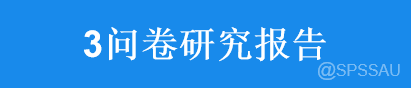 问卷设计思路怎么写模板