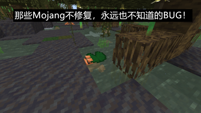 我的世界村庄坐标指令大全