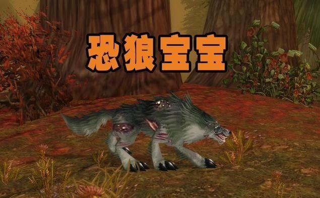 猎人宠物大全及位置