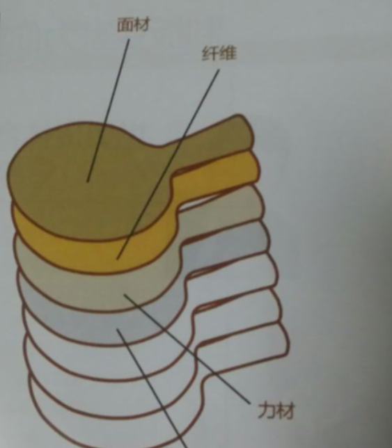 乒乓球拍什么牌子好用
