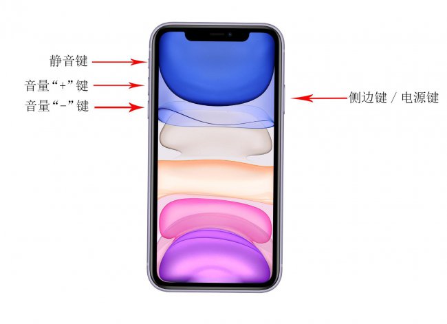 苹果x强制重启按什么键